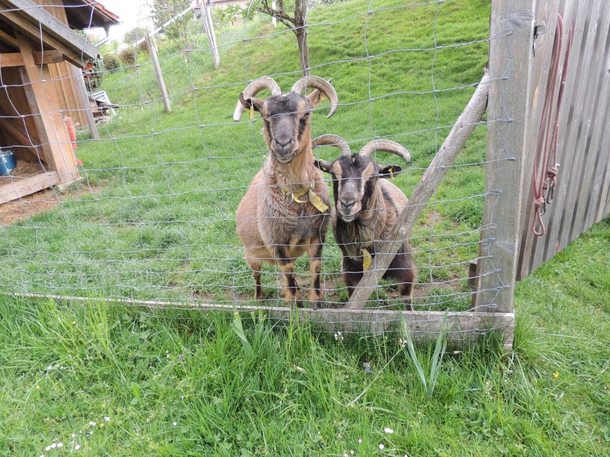 Ferienwohnung Butscher Isny im Allgäu Buitenkant foto