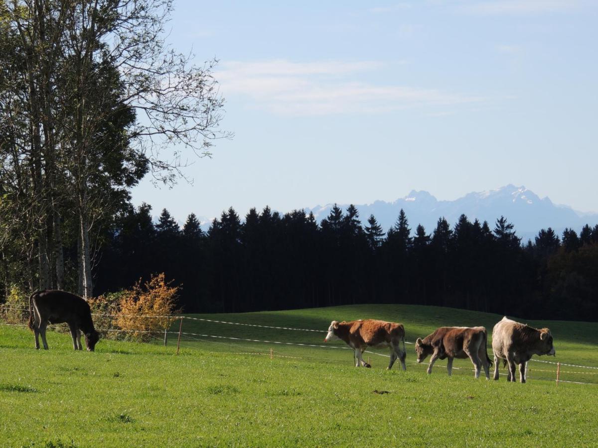 Ferienwohnung Butscher Isny im Allgäu Buitenkant foto